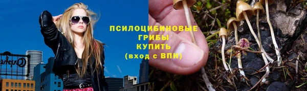 синтетический гашиш Алексин