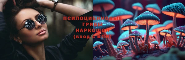синтетический гашиш Алексин