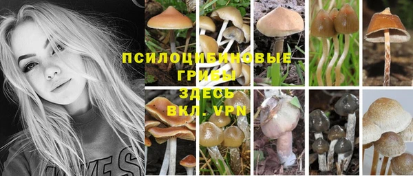 синтетический гашиш Алексеевка