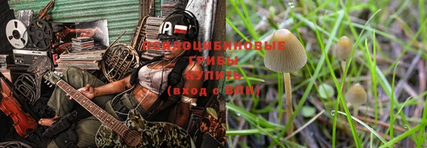 гашик Алзамай