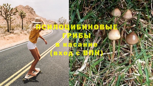 синтетический гашиш Алексеевка